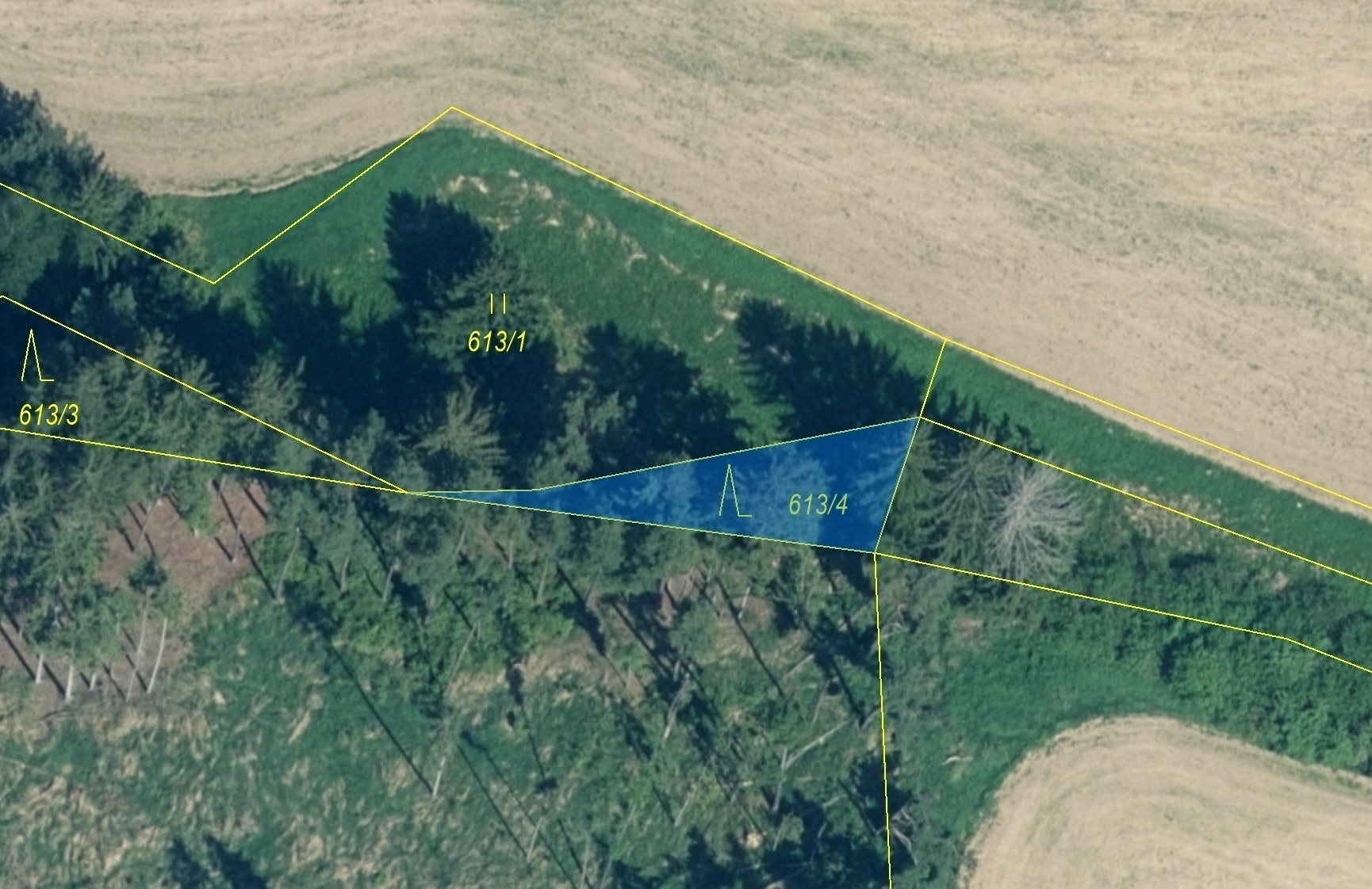 Lesní pozemek o výměře 185 m2, podíl 1/1, katastrální území Záboří u Blatné, obec Záboří, obec s roz