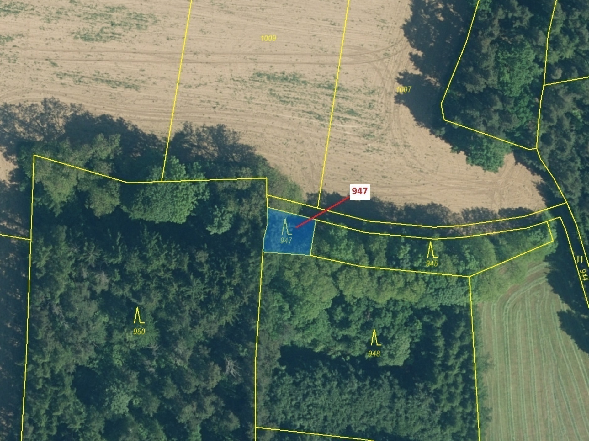 Lesní pozemek o výměře 126 m2, podíl 1/1, katastrální území Nezdřev, obec Nezdřev, obec s rozšířenou