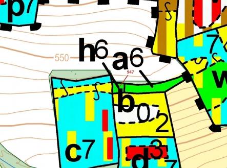 Prodej - pozemek, les, 126 m²