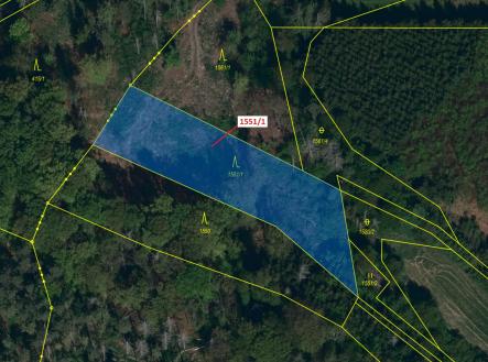 Prodej - pozemek, les, 2 478 m²