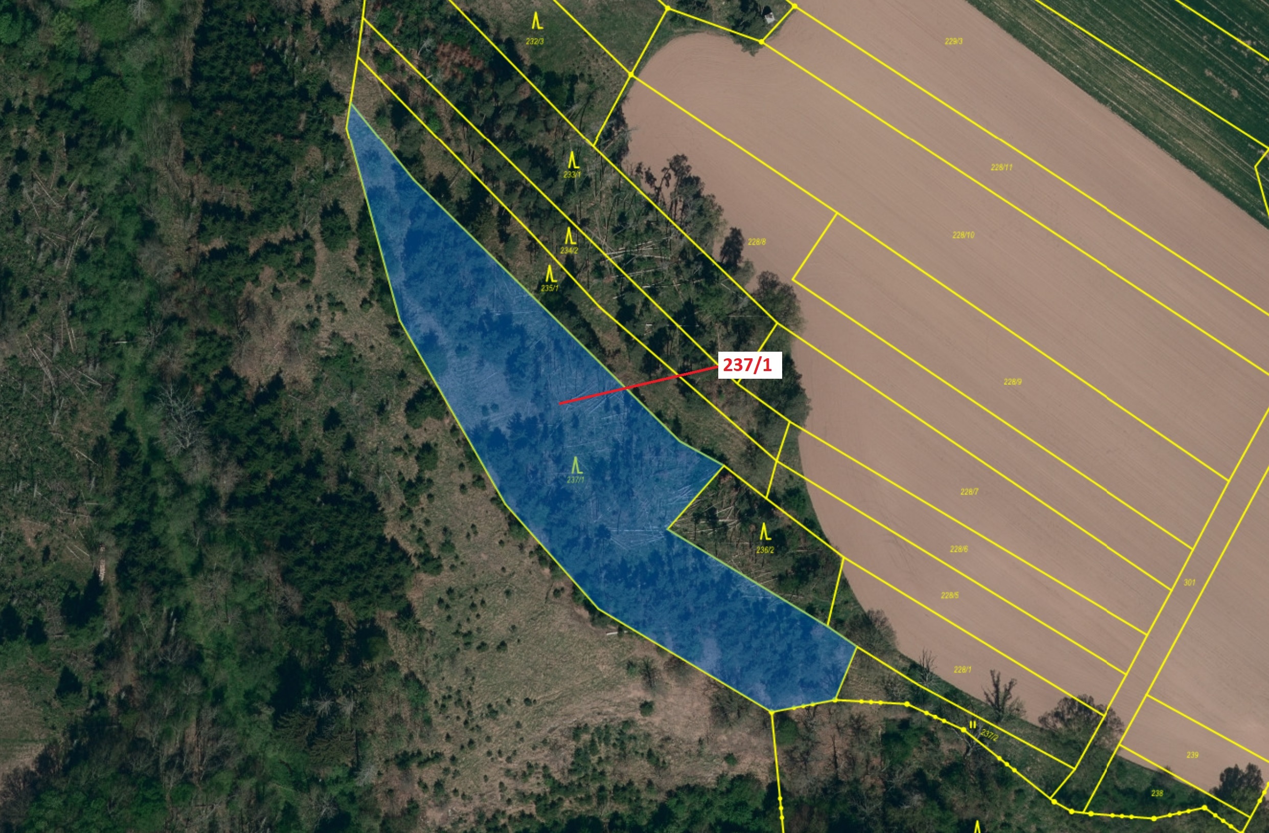 Lesní pozemek o výměře 5885 m2, podíl 1/1, katastrální území Čikov, obec Čikov, obec s rozšířenou pů