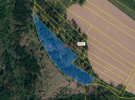 Prodej - pozemek, les, 5 885 m²