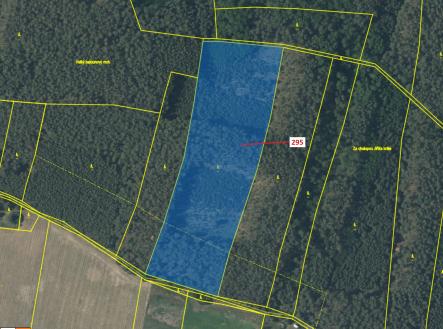 Prodej - pozemek, les, 33 642 m²