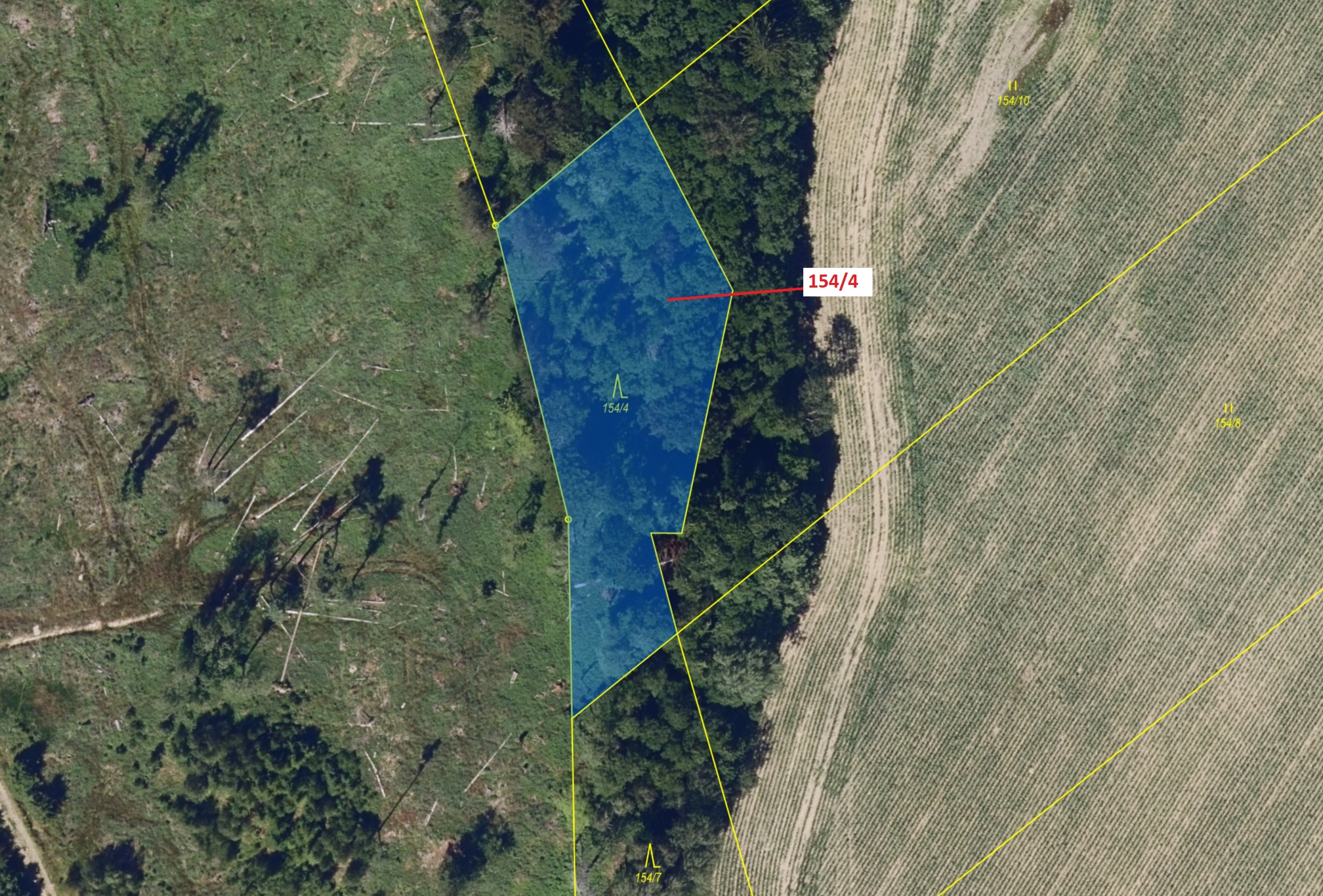 Lesní pozemek o výměře 2471 m2, podíl 1/1, katastrální území Krásné, obec Krásné, obec s rozšířenou 