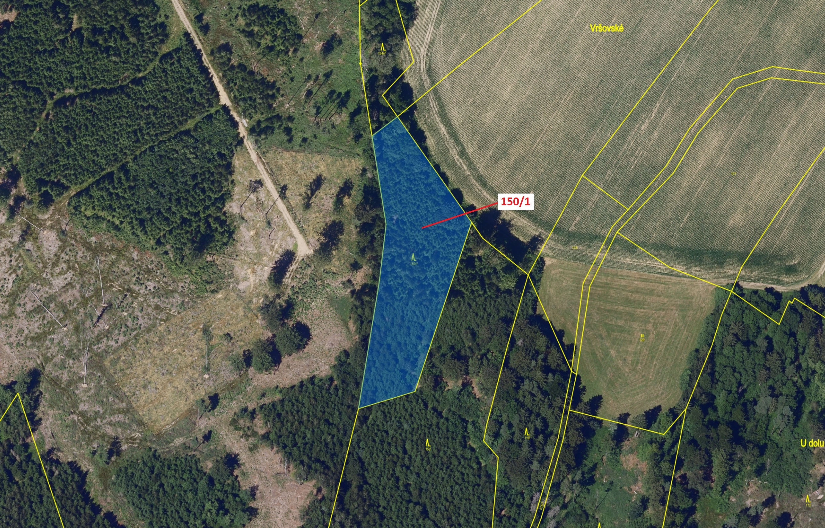 Lesní pozemek o výměře 6169 m2, podíl 1/1, katastrální území Krásné, obec Krásné, obec s rozšířenou 