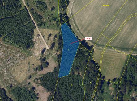 Prodej - pozemek, les, 6 169 m²
