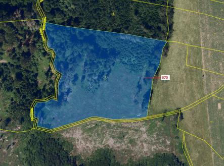 Prodej - pozemek, les, 25 540 m²