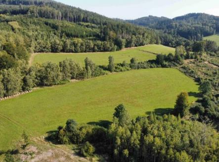 Prodej - pozemek, trvalý travní porost, 4 212 m²