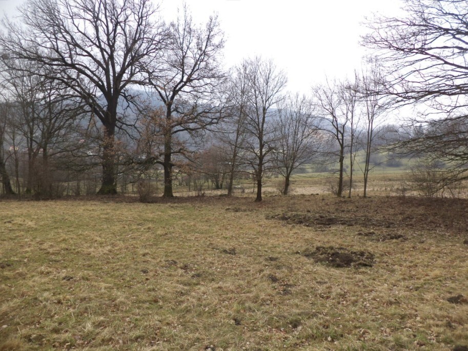 Pozemek o velikosti 5161m2, Horní Kamenice