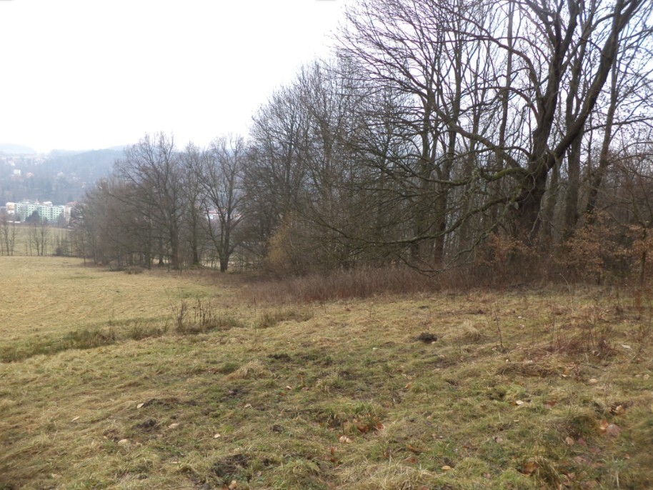 Pozemek o velikosti 5161m2, Horní Kamenice