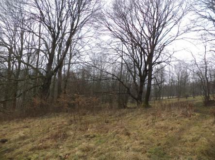 Prodej - pozemek, ostatní, 5 161 m²