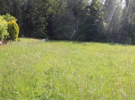 Prodej - pozemek, trvalý travní porost, 4 634 m²