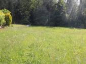 Prodej - pozemek, trvalý travní porost, 4 634 m²
