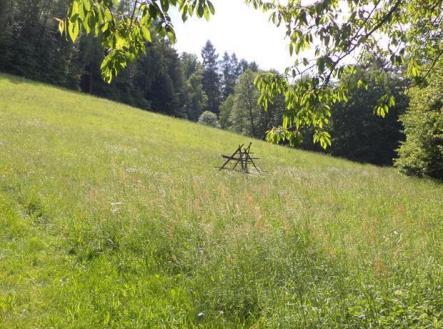 Prodej - pozemek, trvalý travní porost, 4 634 m²