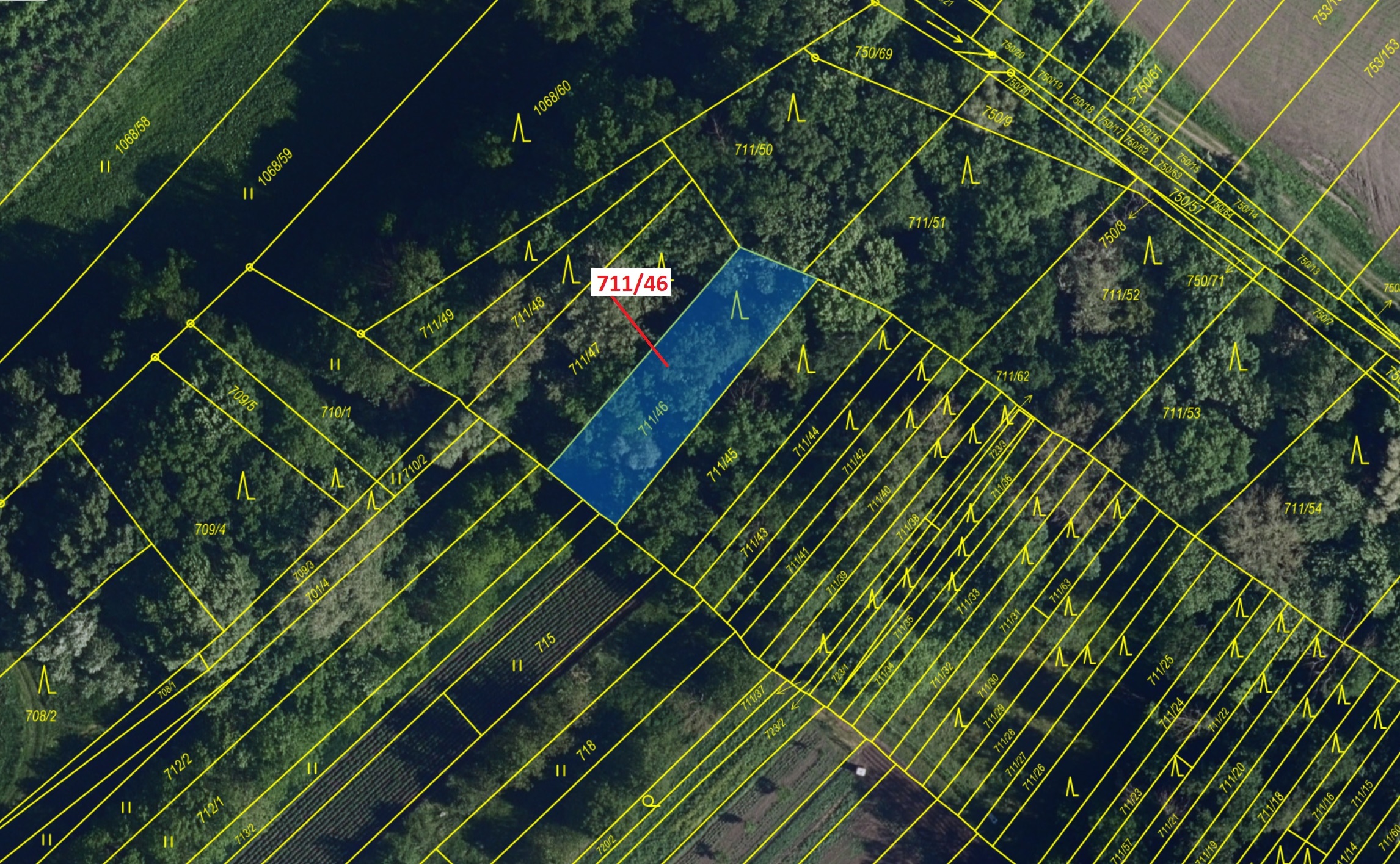 Lesní pozemek o výměře 569 m2, podíl 1/1, katastrální území Přísnotice, obec Přísnotice, obec s rozš