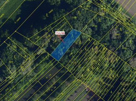 Prodej - pozemek, les, 569 m²