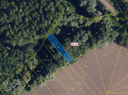 Prodej - pozemek, les, 574 m²