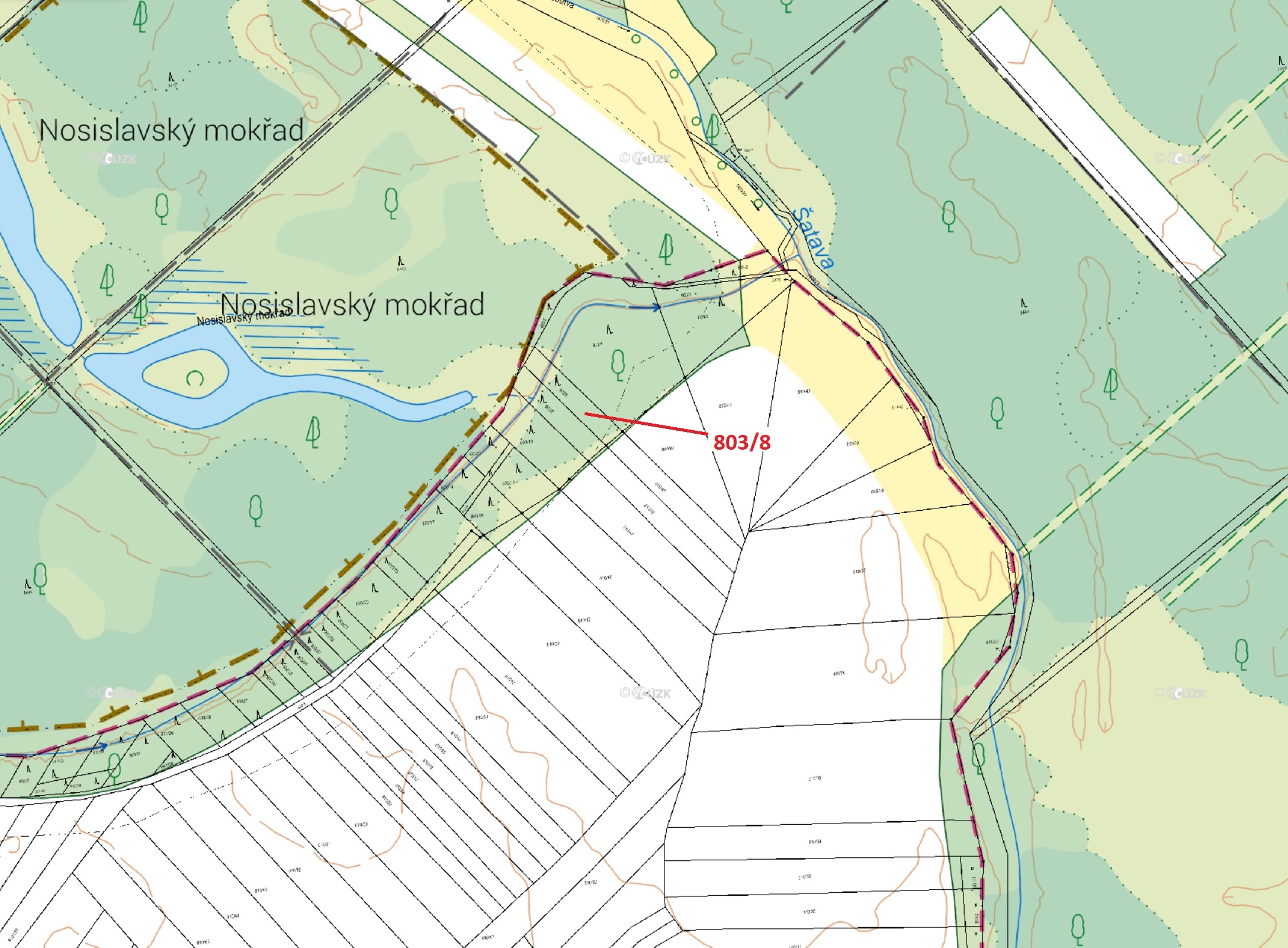 Lesní pozemky o výměře 574 m2, podíl 1/1, katastrální území Přísnotice, obec Přísnotice, obec s rozš