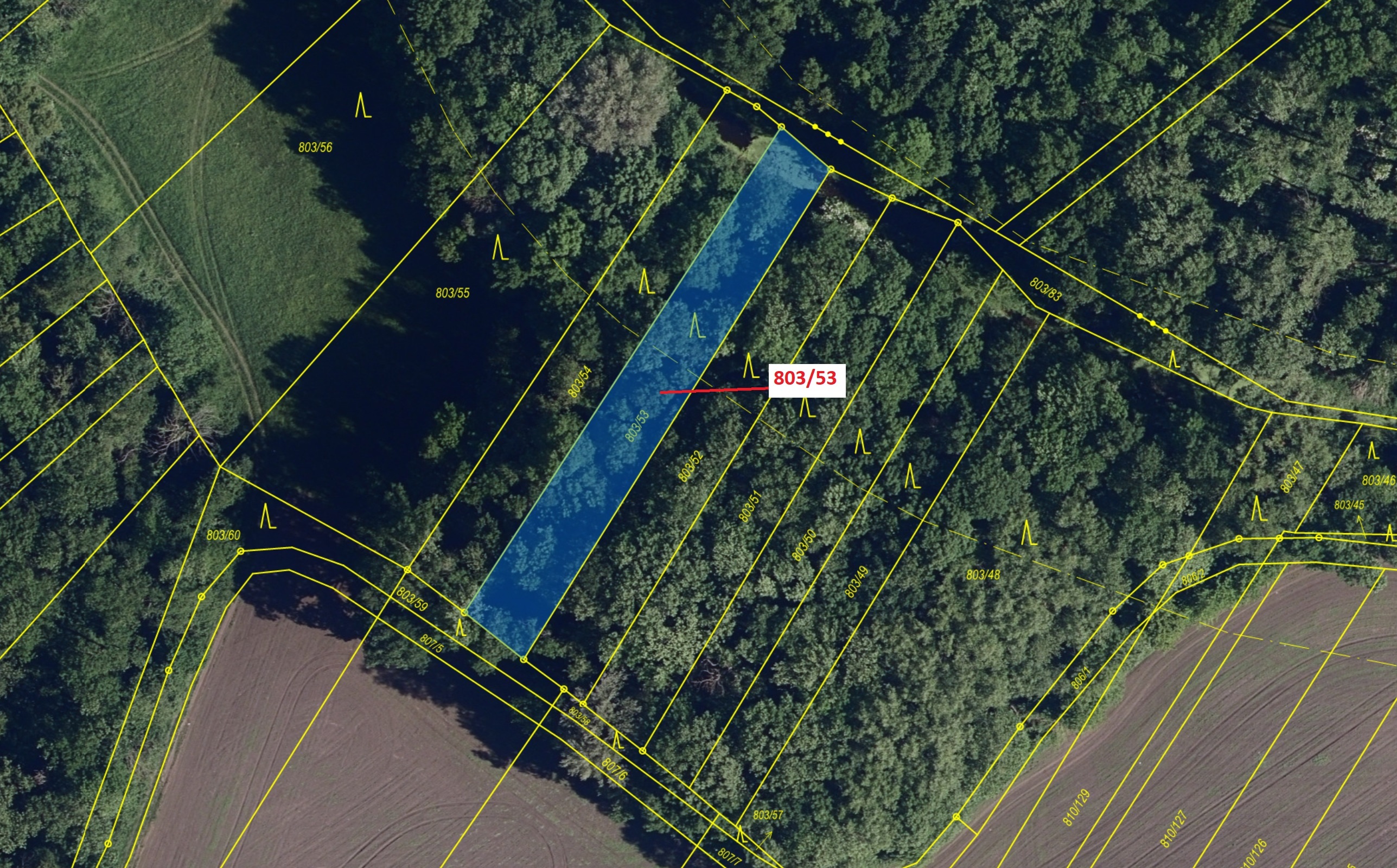 Lesní pozemky o výměře 1135 m2, podíl 1/1, katastrální území Přísnotice, obec Přísnotice, obec s roz