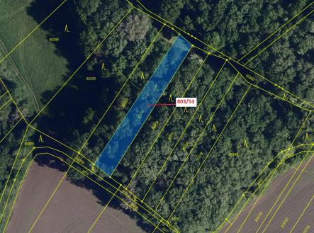 Prodej - pozemek, les, 1 135 m²