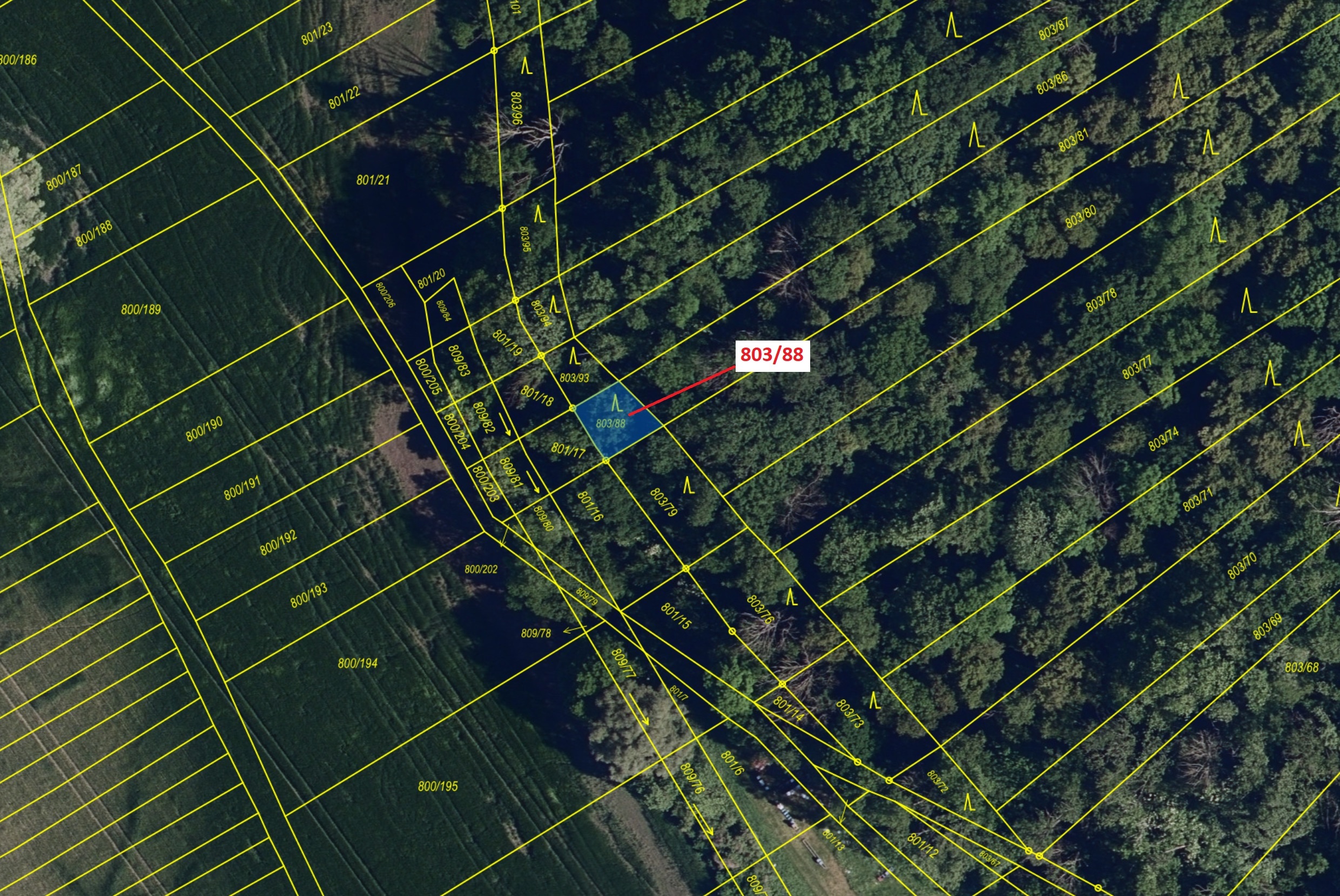 Lesní pozemky o výměře 107 m2, podíl 1/1, katastrální území Přísnotice, obec Přísnotice, obec s rozš