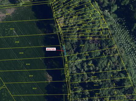 Prodej - pozemek, les, 31 m²