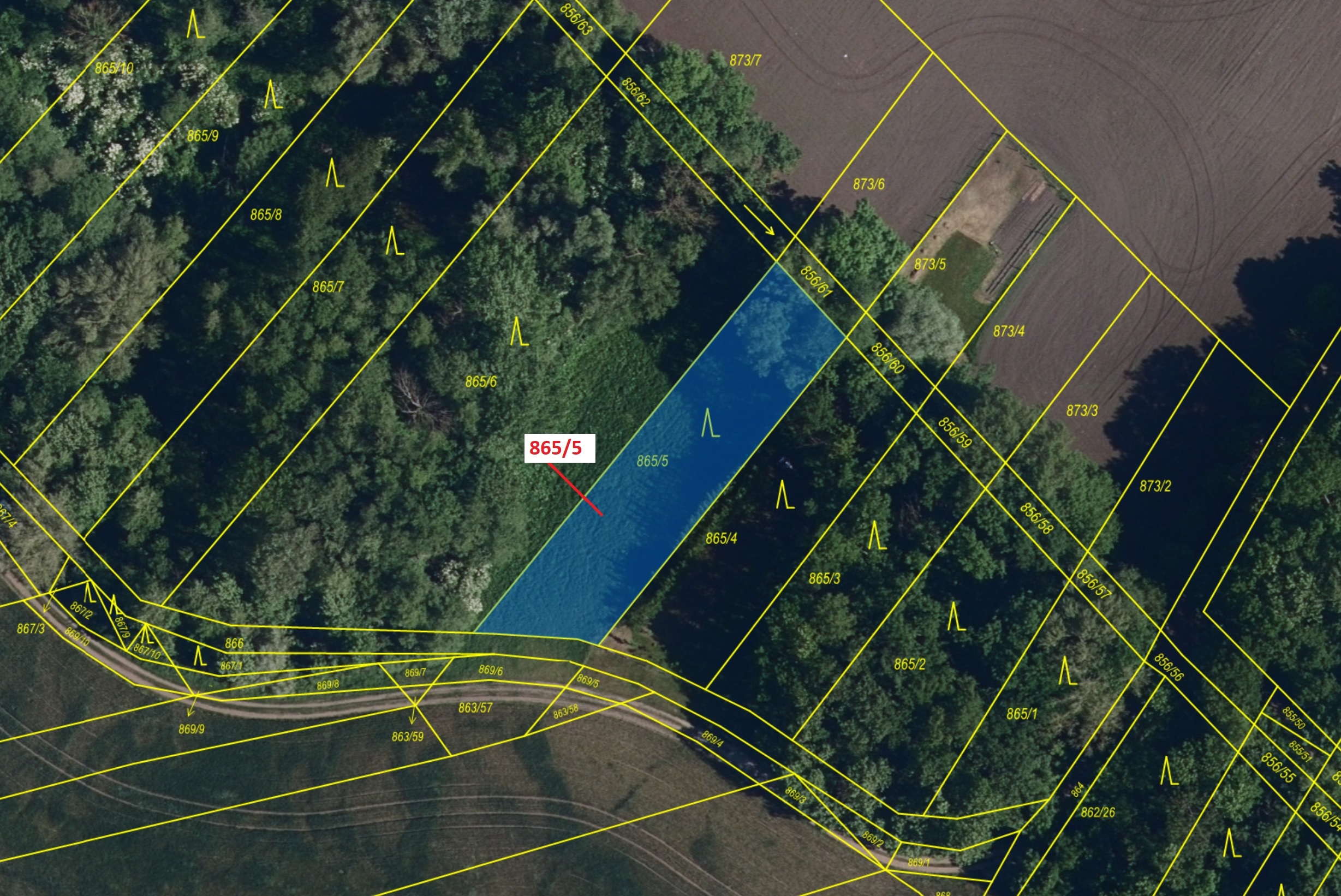 Lesní pozemky o výměře 968 m2, podíl 1/1, katastrální území Přísnotice, obec Přísnotice, obec s rozš