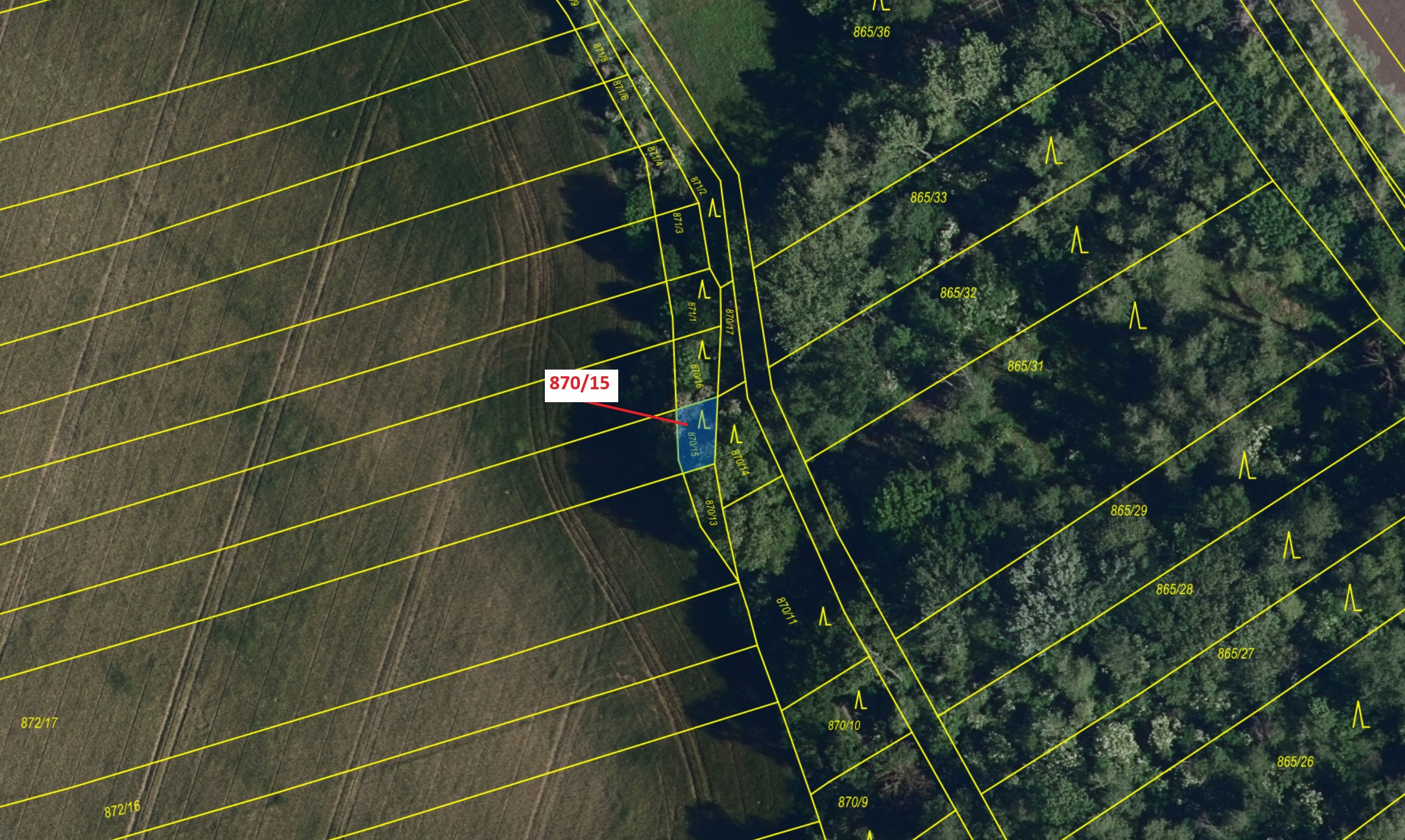 Lesní pozemky o výměře 60 m2, podíl 1/1, katastrální území Přísnotice, obec Přísnotice, obec s rozší