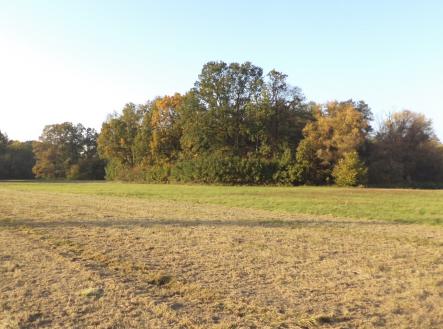 Prodej - pozemek, trvalý travní porost, 6 981 m²