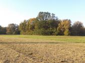 Prodej - pozemek, trvalý travní porost, 6 981 m²