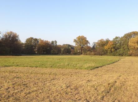 Prodej - pozemek, trvalý travní porost, 6 981 m²