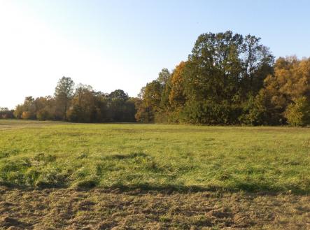 Prodej - pozemek, trvalý travní porost, 6 981 m²