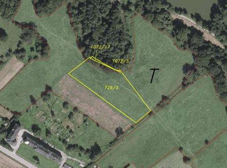 Prodej - pozemek, trvalý travní porost, 6 981 m²