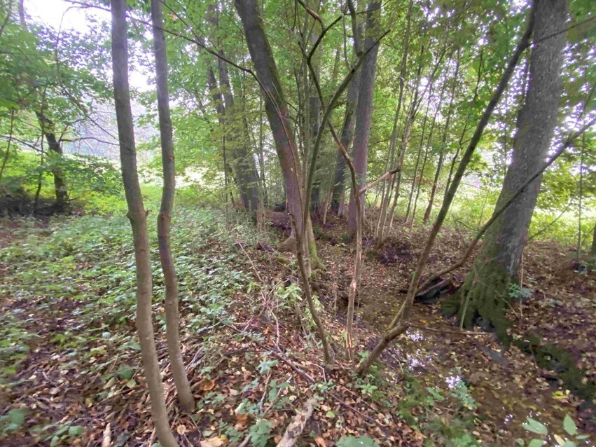 Pozemek o velikosti 1994m2, Helvíkovice