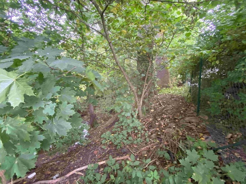 Pozemek o velikosti 1994m2, Helvíkovice