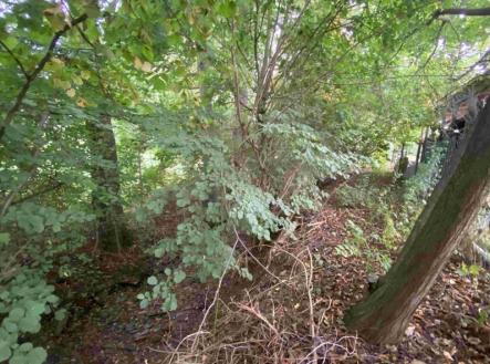 Prodej - pozemek, ostatní, 1 994 m²