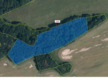 Prodej - pozemek, les, 21 506 m²