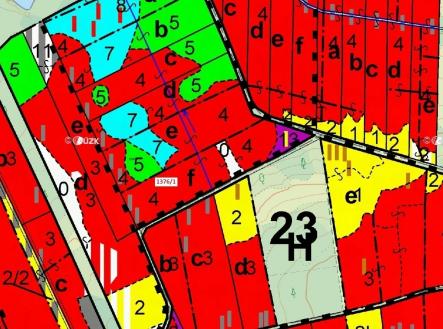 Prodej - pozemek, les, 13 807 m²