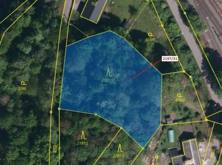 Prodej - pozemek, les, 1 999 m²