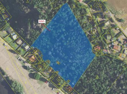 Prodej - pozemek, les, 10 228 m²