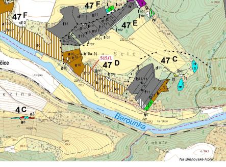 Prodej - pozemek, les, 10 228 m²