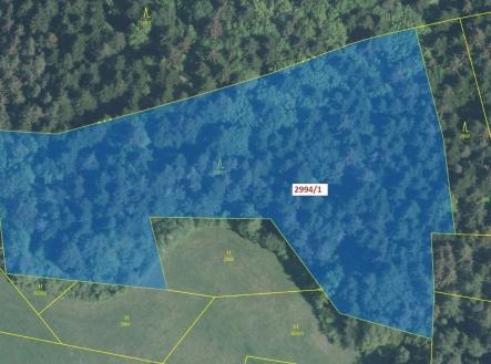 Prodej - pozemek, les, 15 135 m²