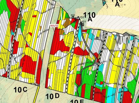 Prodej - pozemek, les, 12 014 m²