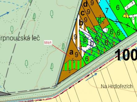 Prodej - pozemek, les, 9 131 m²