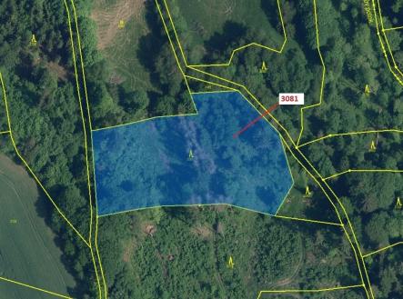 Prodej - pozemek, les, 6 213 m²