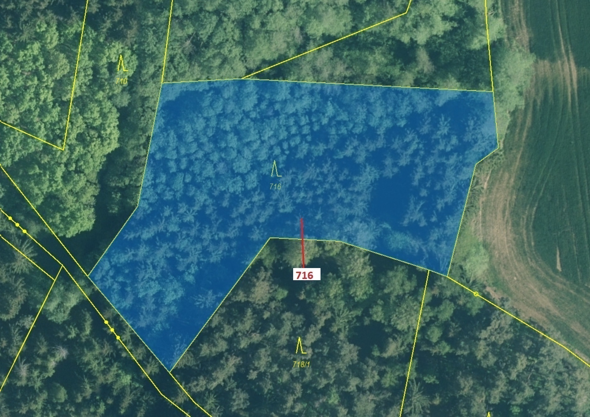 Lesní pozemek o výměře 4499 m2, podíl 1/1, katastrální území Kuřimany, obec Kuřimany, obec s rozšíře