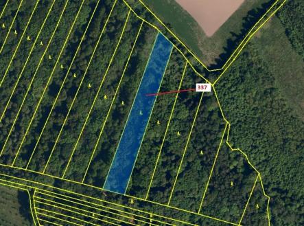 Prodej - pozemek, les, 5 963 m²