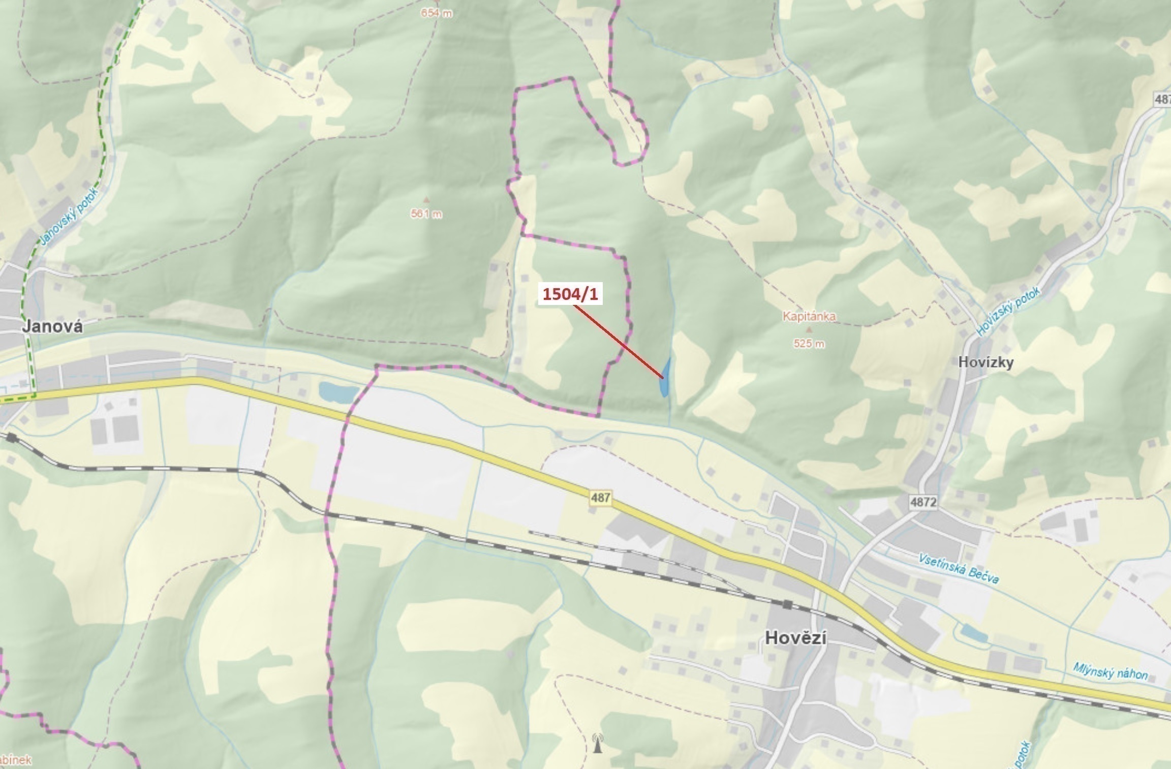 Lesní pozemek o výměře 2626 m2, podíl 1/1, katastrální území Hovězí, obec Hovězí, obec s rozšířenou 