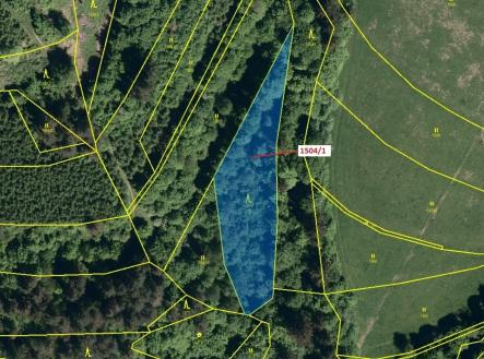 Prodej - pozemek, les, 2 626 m²