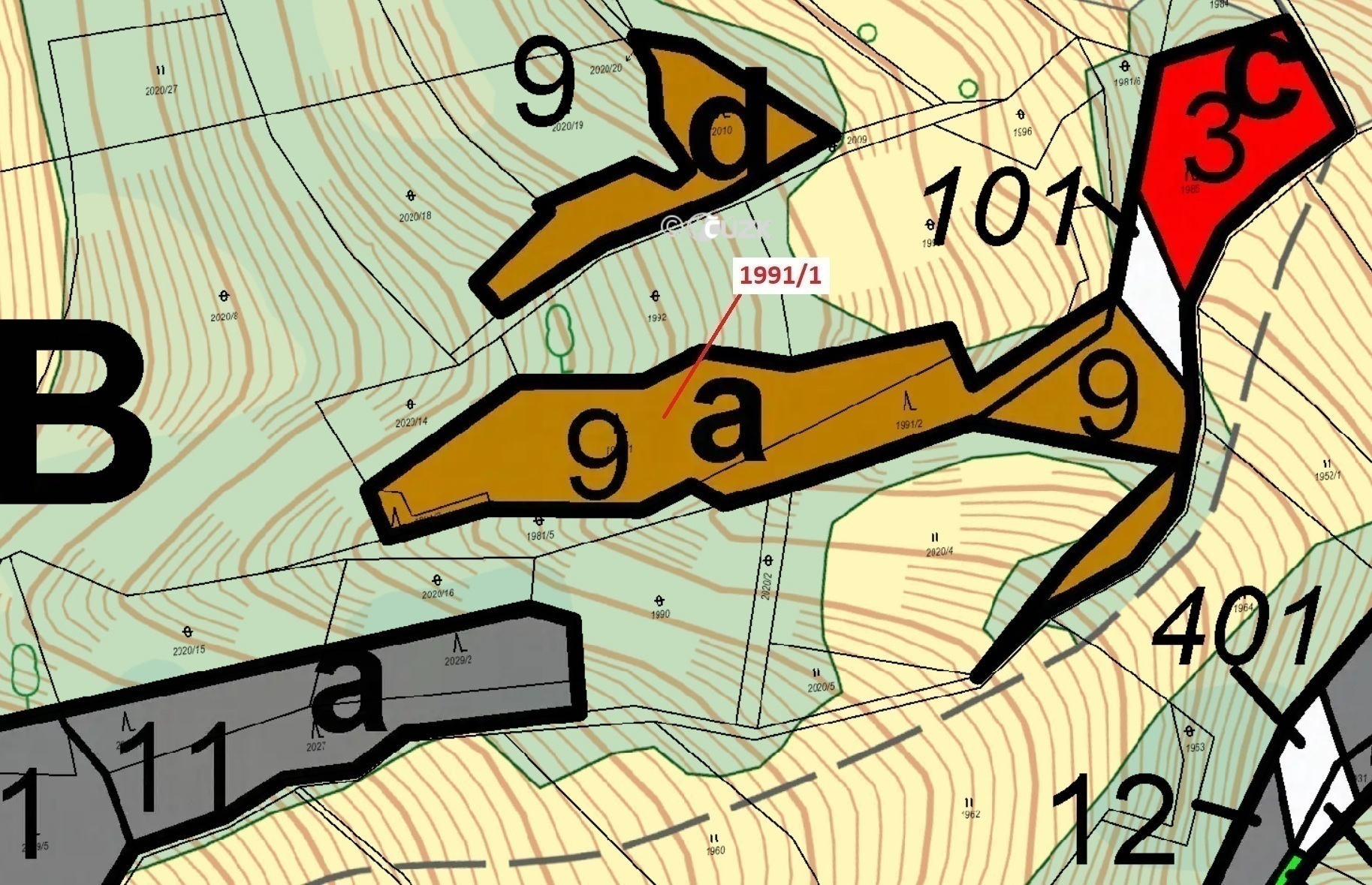 Lesní pozemek o výměře 2438 m2, podíl 1/1, katastrální území Hovězí, obec Hovězí, obec s rozšířenou 